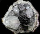 Pyrolusite Spray In Quartz Geode - Exceptional Specimen #34894-5
